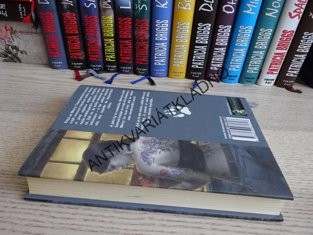 STŘÍBRNÁ RELIKVIE, PATRICIA BRIGGS, **an