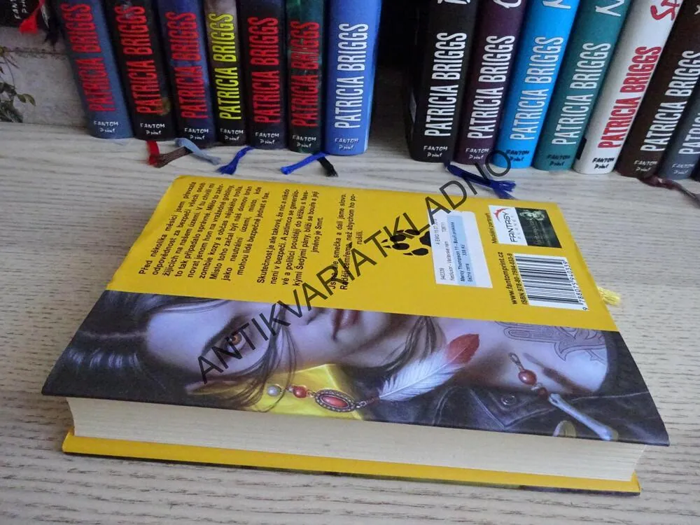 BOUŘÍ PROKLETÁ, PATRICIA BRIGGS, **an