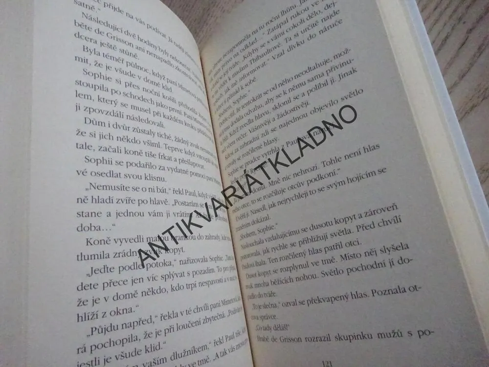 LÁSKA A ZÁŠŤ, HANA MARIE KÖRNEROVÁ, **an
