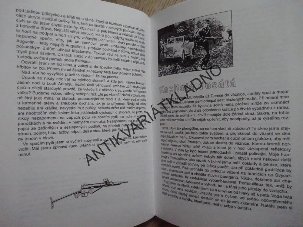 DLOUHÁ HLÍDKA, ALAN WHITE, **an