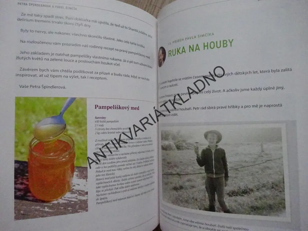 STŘÍPKY ZE ŽIVOTA, PETRA ŠPINDLEROVÁ, PAVEL ŠIMČÍK, **an