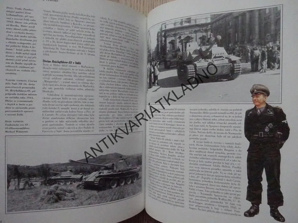SS: HITLERŮV NÁSTROJ TERORU, GORDON WILLIAMSON, **an