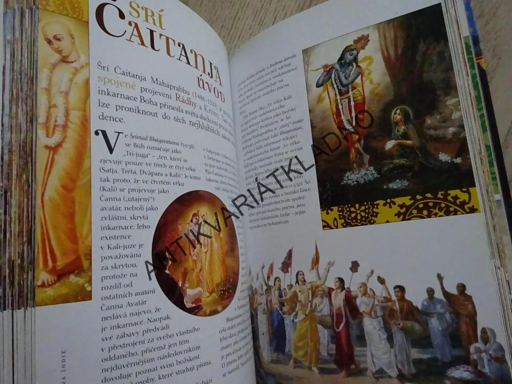 SKRYTÁ SLÁVA INDIE, STEVEN J. ROSEN, **an