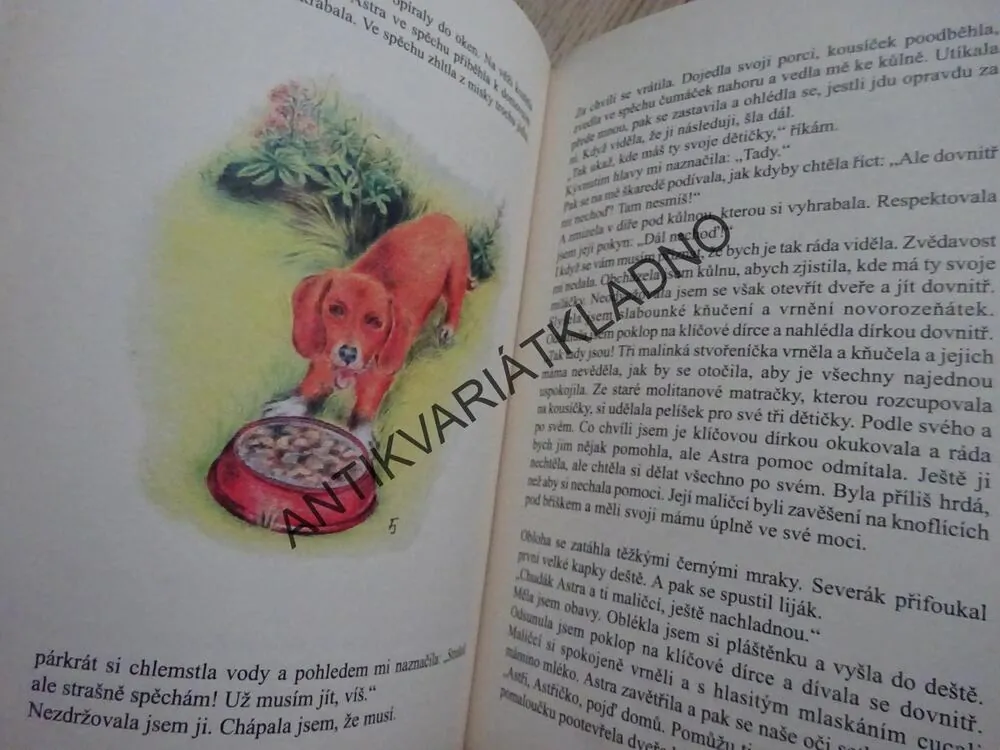 ASTŘIČKA, VĚRA ODBRŽÁLKOVÁ, **an