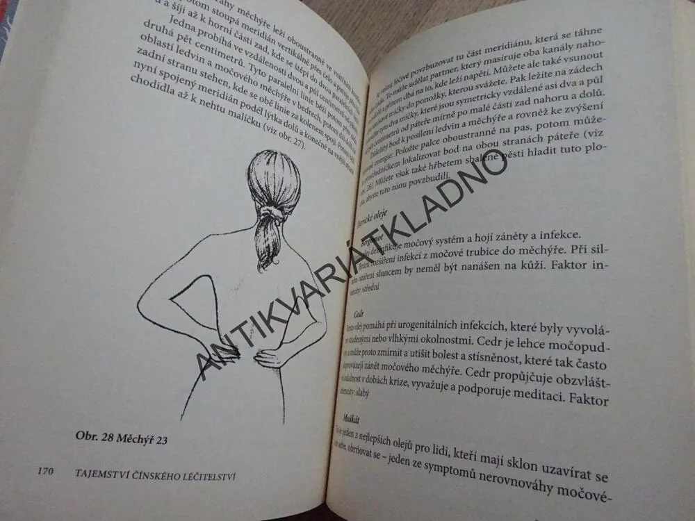 TAJEMSTVÍ ČÍNSKÉHO LÉČITELSTVÍ, JENNIFER HARPER, **an