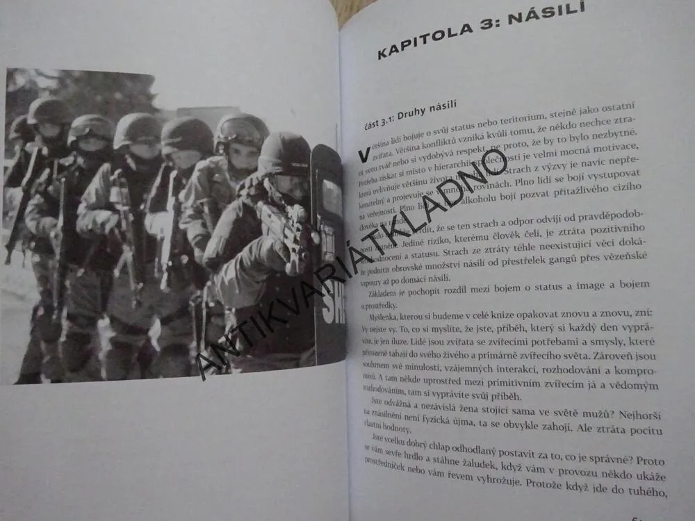 REALITA NÁSILÍ, RORY MILLER, **an