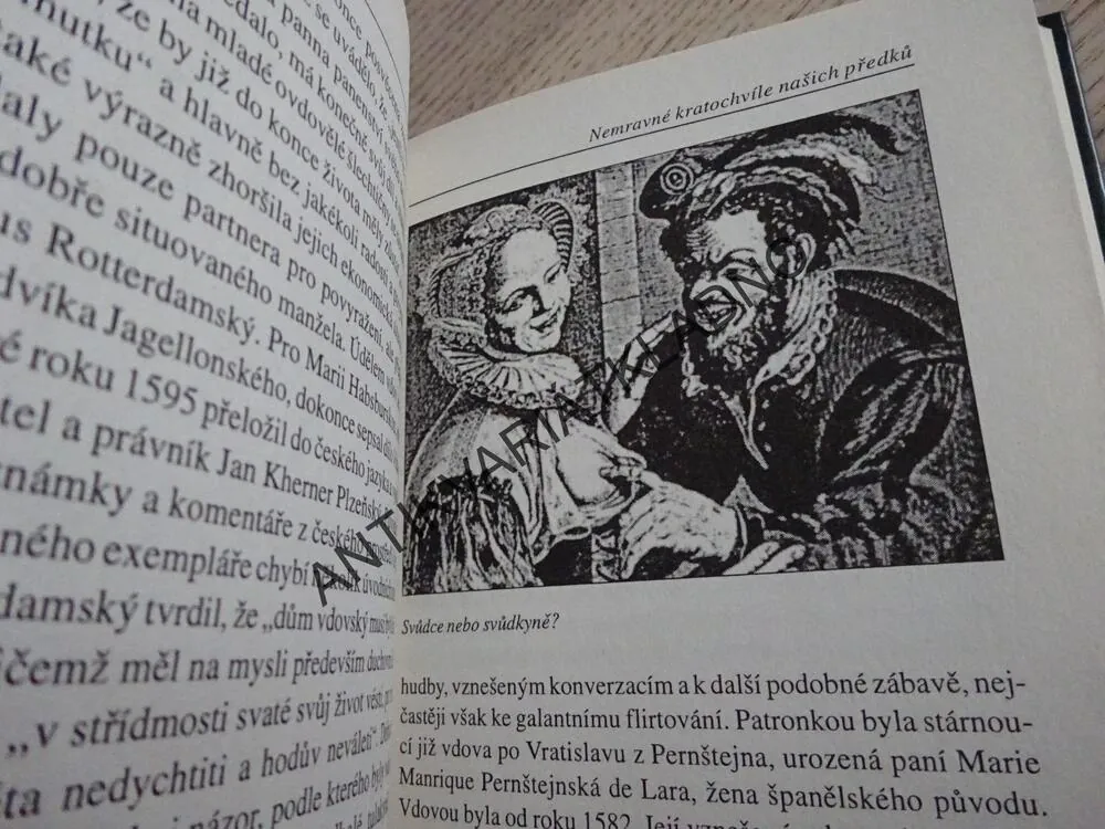 NEMRAVNÉ KRATOCHVÍLE NAŠICH PŘEDKŮ, PAVEL TOUFAR, **an