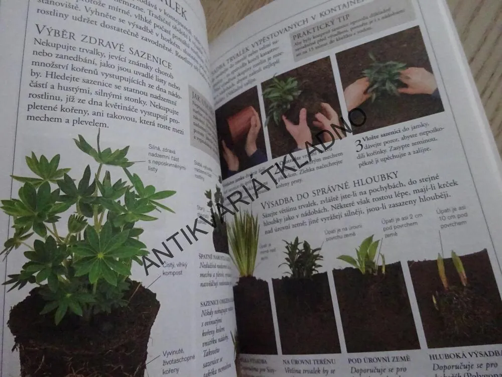 MRAZUVZDORNÉ TRVALKY, PRAKTICKÝ RÁDCE, **an