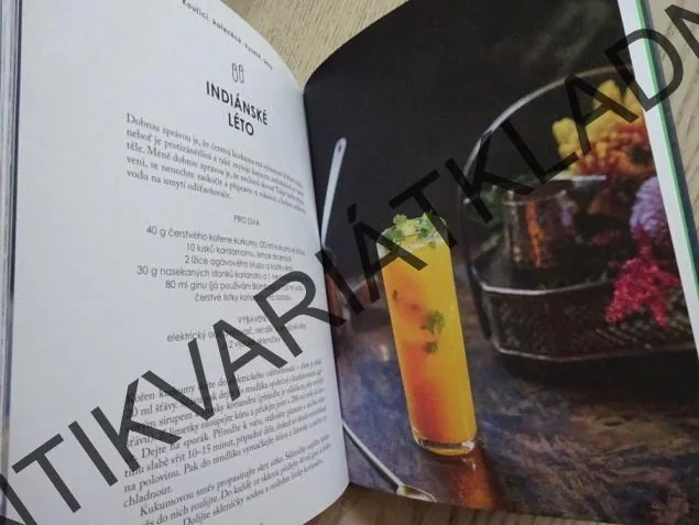 ZDRAVÁ POŽITKÁŘKA, NICOLE HERFT, **an