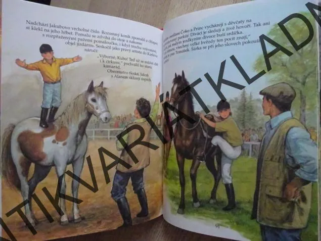 V ŘÍŠI KONÍ, KARINE LEFRANC, FRANCOISE LE GLOAHEC, PIERRE COURONNE, **an