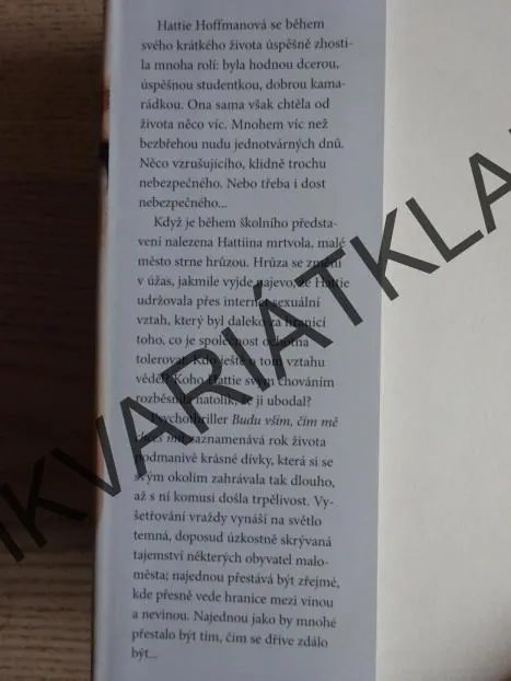 BUDU VŠÍM, ČÍM MĚ CHCEŠ MÍT, MINDY MEJIA, **an