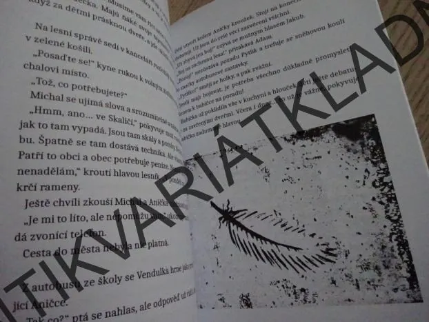 KRÁLOVNA LESA, KATEŘINA BĚTKA KOHOUTOVÁ, **an