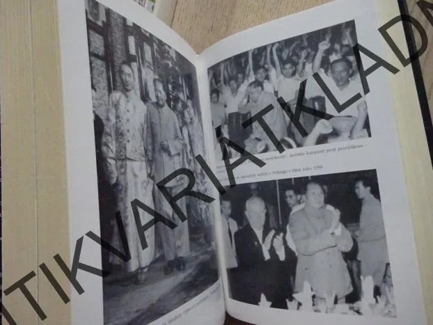 MAO, PHILIP SHORT, **an