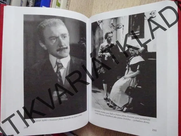KOMIK SE VRACÍ, JIŘÍ TVRZNÍK, **an