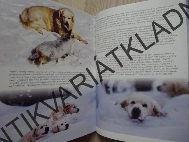 ROK S RETRÍVREM, DAN MATERNA, VERONIKA SOURALOVÁ, **an
