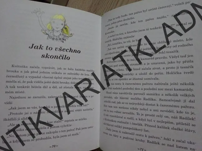 O KVĚTUŠCE A TESAŘÍKOVI, JITKA VÍTOVÁ, **an