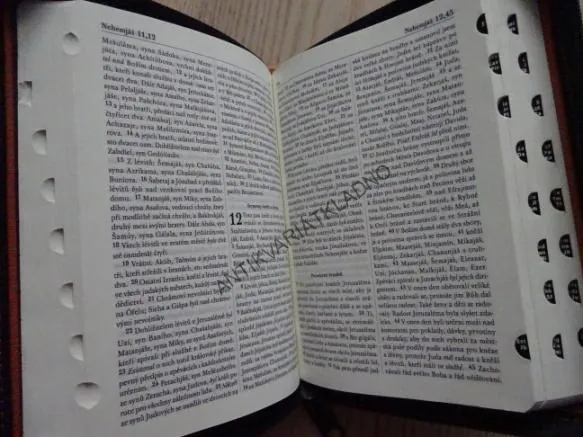 BIBLE, MODERNÍ VYDÁNÍ, **an