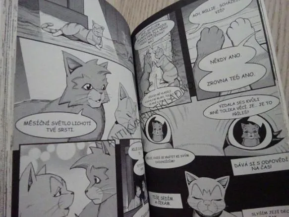 VÁLEČNÍCI, VÁLEČNÍKŮV ÚKRYT, ERIN HUNTER, KOMIKS, **an