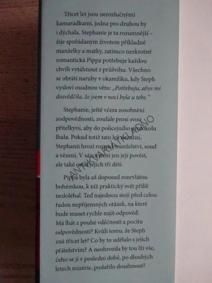 STALO SE VČERA V NOCI, ADELE PARKS, **an