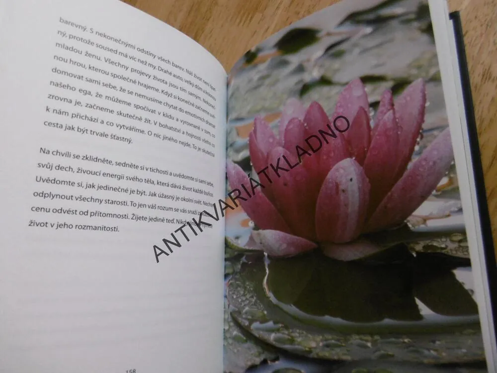 UNIVERZÁLNÍ ZÁKONY ŽIVOTA, MIREK VOJÁČEK, 