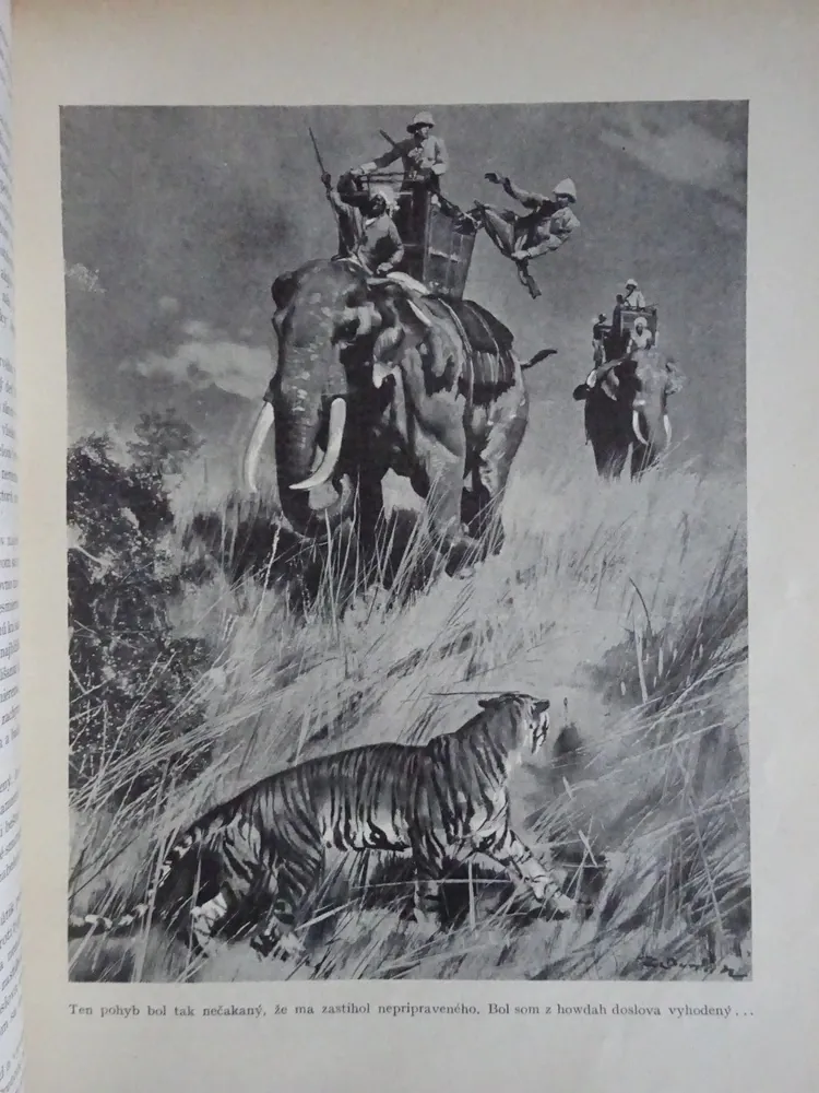 ŠIRÝM SVĚTEM, SVÁZANÝ ROČNÍK 13, **an