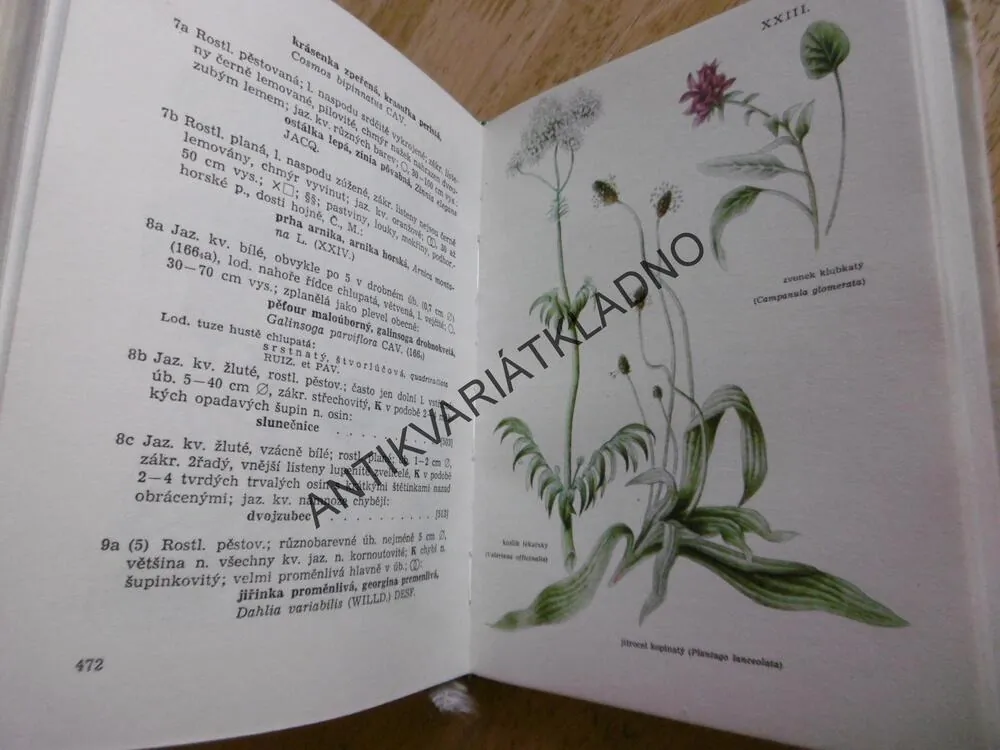 NAŠE ROSTLINY, KLÍČ K URČOVÁNÍ,