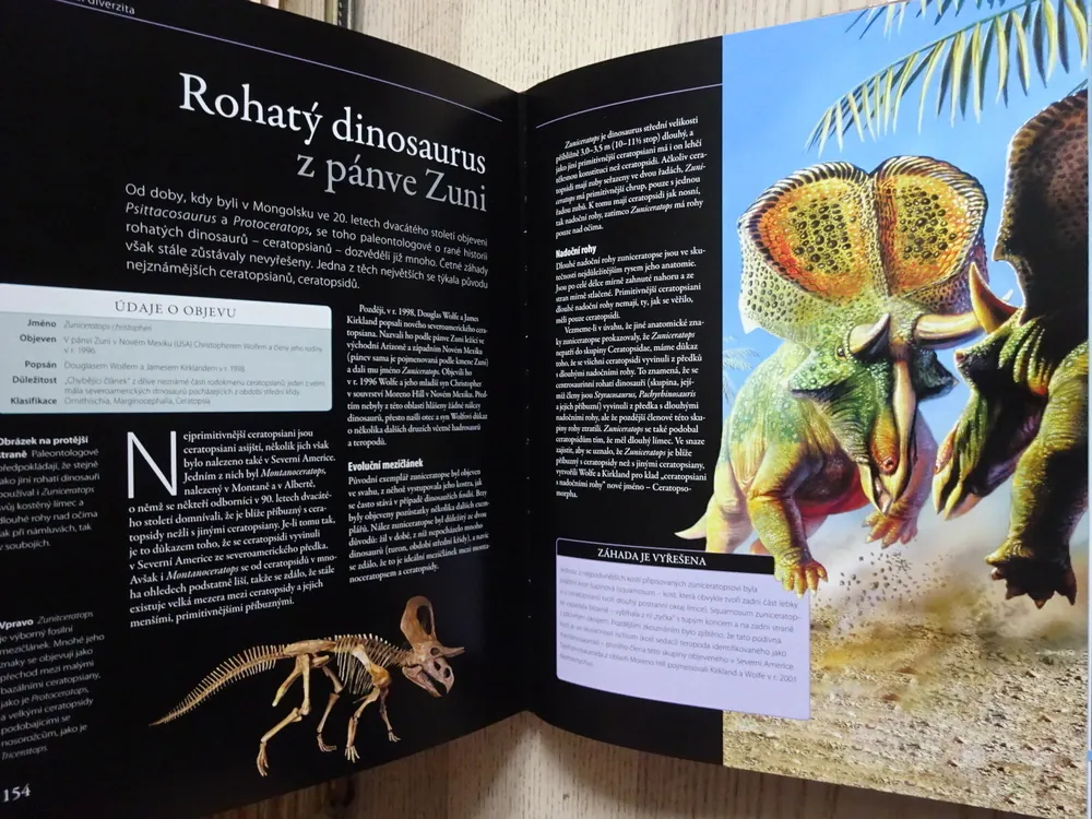 DINOSAUŘI, VELKÁ KNIHA OBJEVŮ, DARREN NAISH, **an
