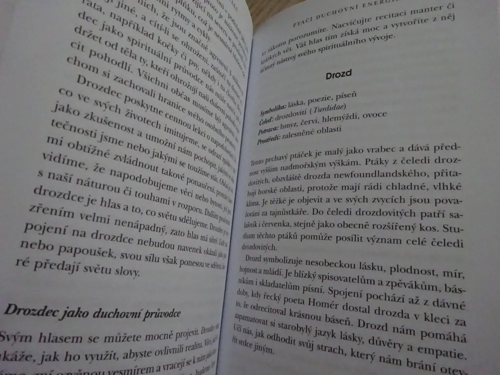 LÉČIVÁ MOUDROST PTÁKŮ, LESLEY MORRISONOVÁ, **an