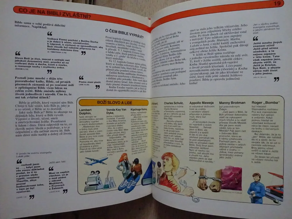 JAK K NÁM PŘIŠLA BIBLE, MERYL DONEY, **an