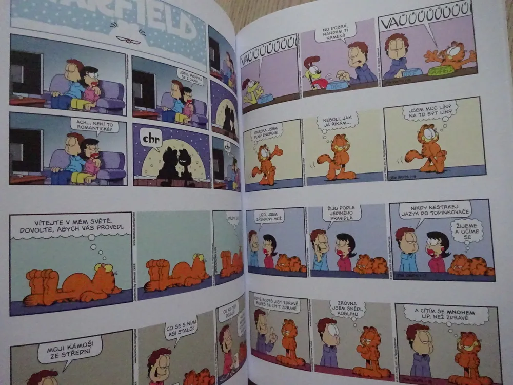 GARFIELD CHODÍ SPÁT SE SLEPICEMI, JIM DAVIS, **an