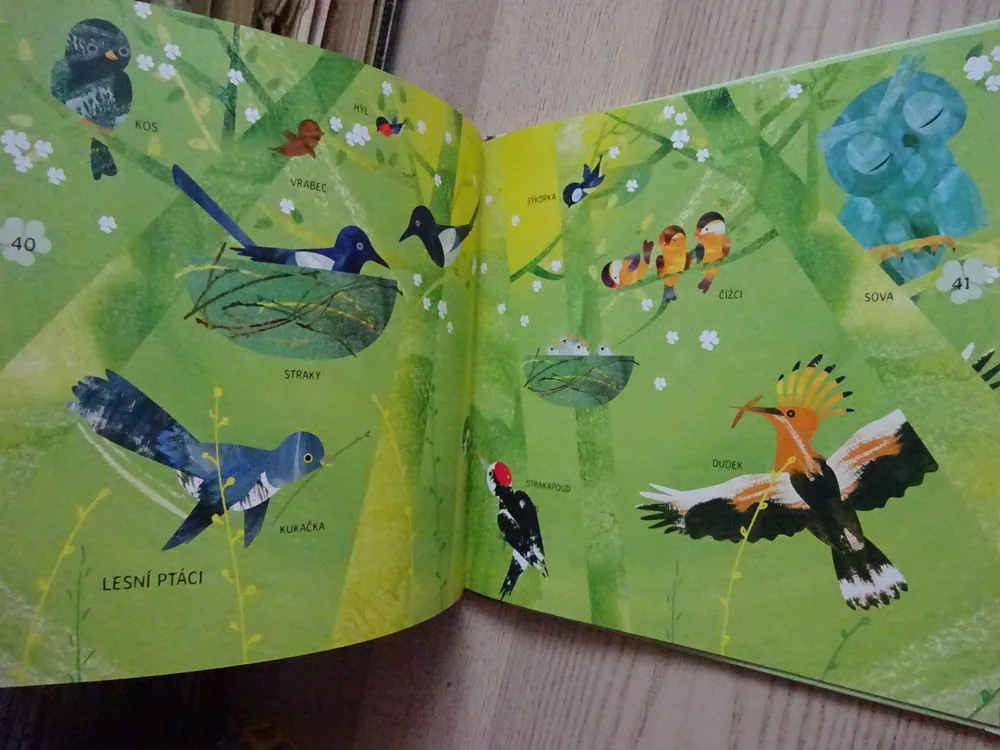 MEDVÍDEK V LESE, VYDEJ SE S NÍM ZA POZNÁNÍM, NATALJA ČUB, **an