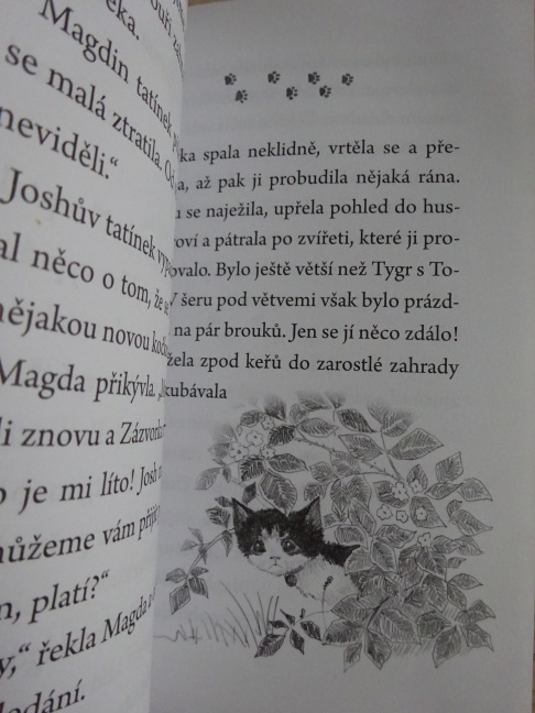 USTRAŠENÉ KOTĚ, HOLLY WEBB, **an