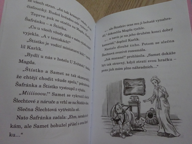 HOTEL U ZVÍŘÁTEK, VZHŮRU NA VÝSTAVU, KATE FINCHOVÁ, **an