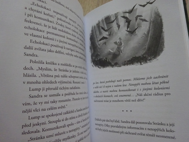 OCHRÁNCI DIVOČINY, STRÁŽCI TAJGY, **an