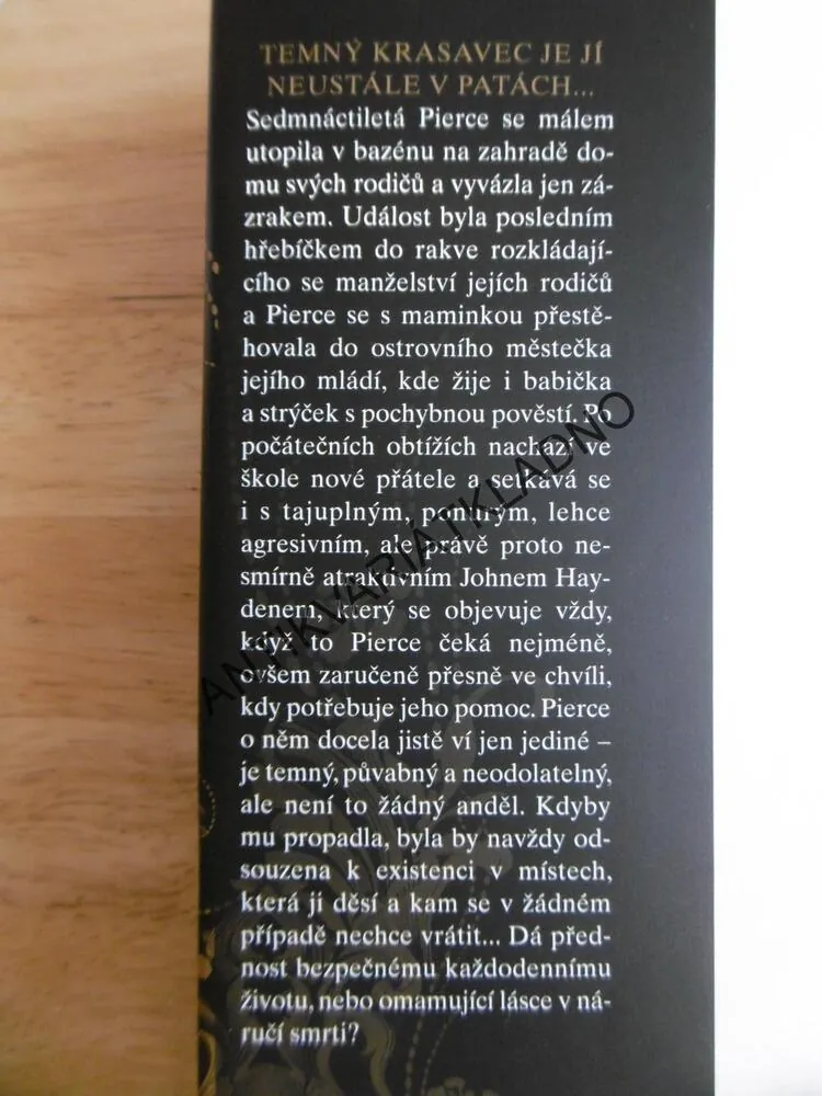 MEZI LÁSKOU A SMRTÍ, MEG CABOTOVÁ