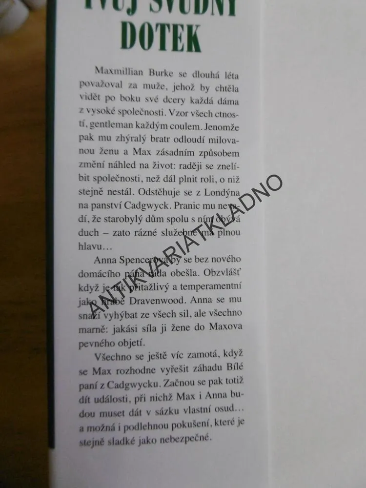 TVŮJ SVŮDNÝ DOTEK, TERESA MEDEIROS