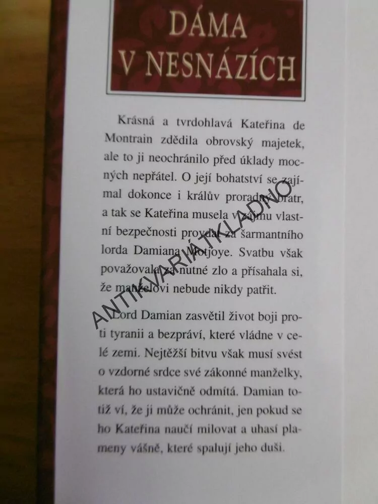 DÁMA V NESNÁZÍCH, SHANNON DRAKE, **an