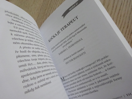 CHOVEJTE SE JAKO KOČKA 2, STEPHANE GARNIER, **an