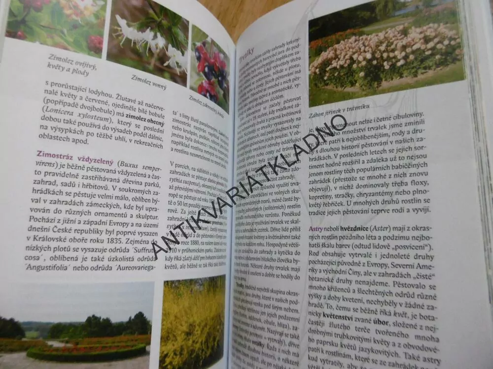 CO ROSTLO U BABIČKY NA ZAHRADĚ, TRADIČNÍ ODRŮDY,JAN NOVÁK