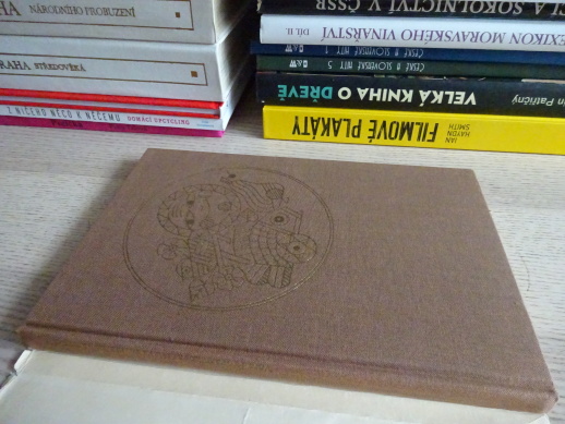 HLAVA REZATÁ, NOHA STRAKATÁ, VĚRA PROVAZNÍKOVÁ, JAN KUBÍČEK, **an