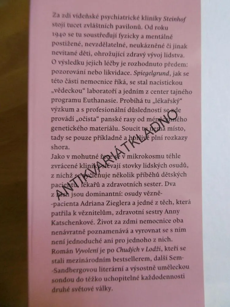VYVOLENÍ, STEVE SEM-SANDBERG, 