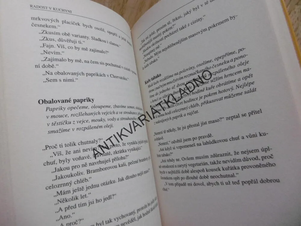 RADOST V KUCHYNI, VÁCLAV BUDÍNSKÝ, **an