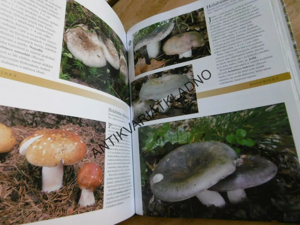 HOUBY, ČESKÁ ENCYKLOPEDIE,MYKOLOGIE , **an