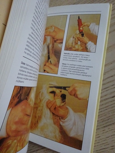 AMERIČTÍ A ANGLIČTÍ KOKRŠPANĚLÉ, FRANK KANE, PHYLLIS WISEOVÁ, **an