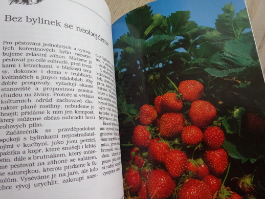 ZAČÍNÁME NA ZAHRÁDCE, HELMUT JANTRA, **an
