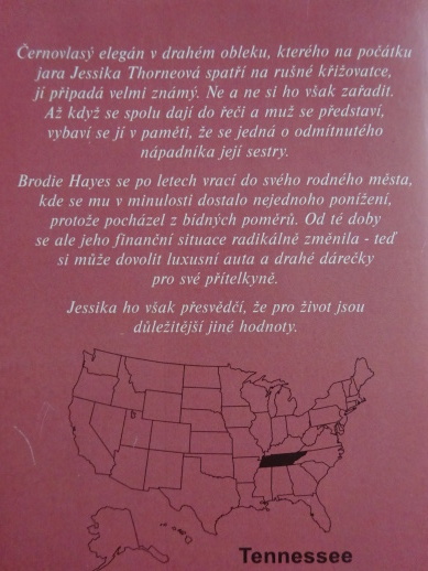 KONEČNÁ STANICE ŠTĚSTÍ, JANET DAILEY, **an