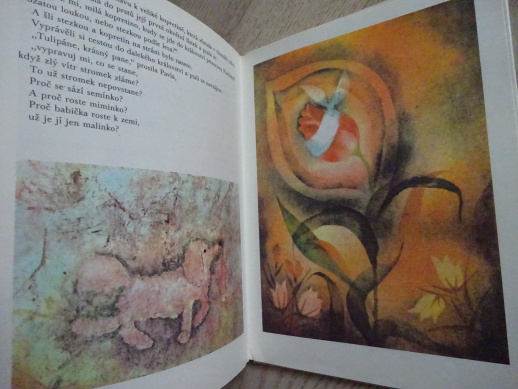 PRINCEZNA Z TŘEŠŇOVÉHO KRÁLOVSTVÍ, MARKÉTA ZINNEROVÁ, OTA JANEČEK, **an