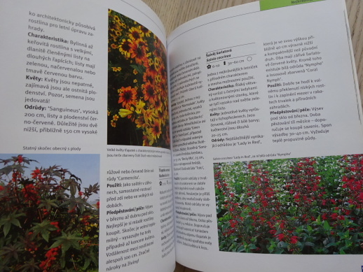 LETNIČKY, NEJKRÁSNĚJŠÍ JEDNOLETKY A DVOULETKY, HERTA SIMON, **an