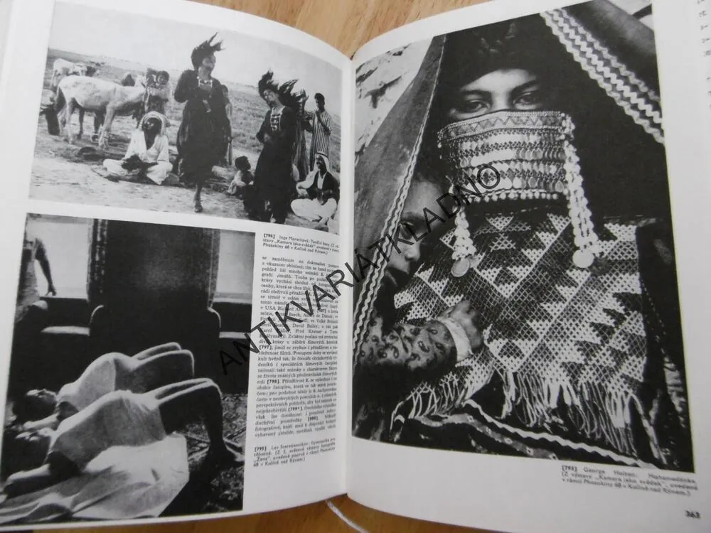OBOROVÉ ENCYKLOPEDIE, PRAKTICKÁ FOTOGRAFIE