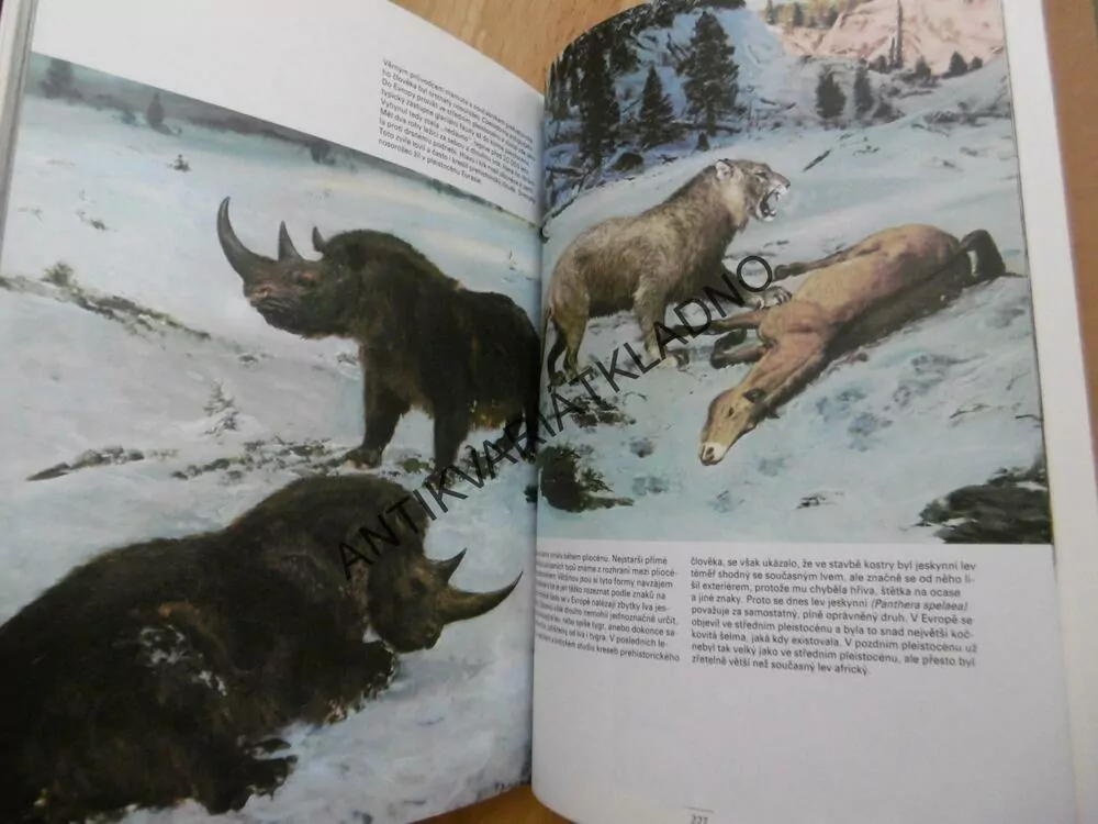 KNIHA O PRAVĚKU, ŠPINAR, ZDENĚK BURIAN, **an